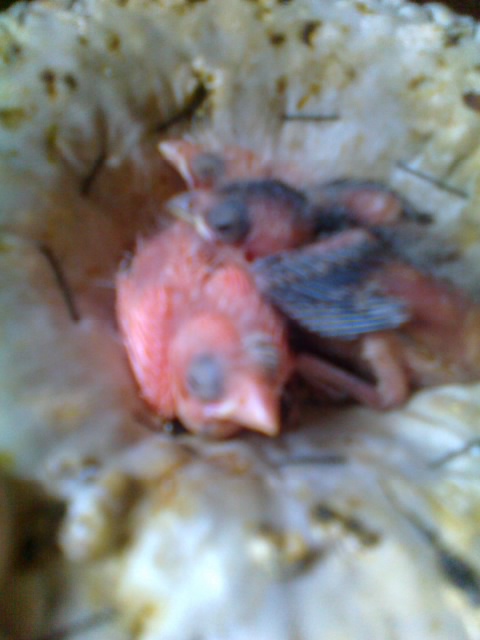 照片 014.jpg