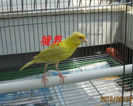 0(ZHHV2338CDD7PE@R9$[Q7.jpg