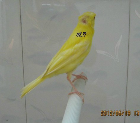 H`YKWS(R6T~AN`(8RRWMSLR.jpg