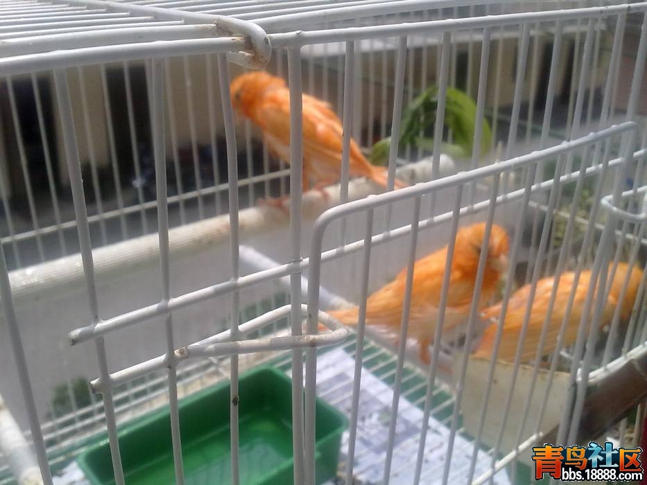 20120515340.jpg
