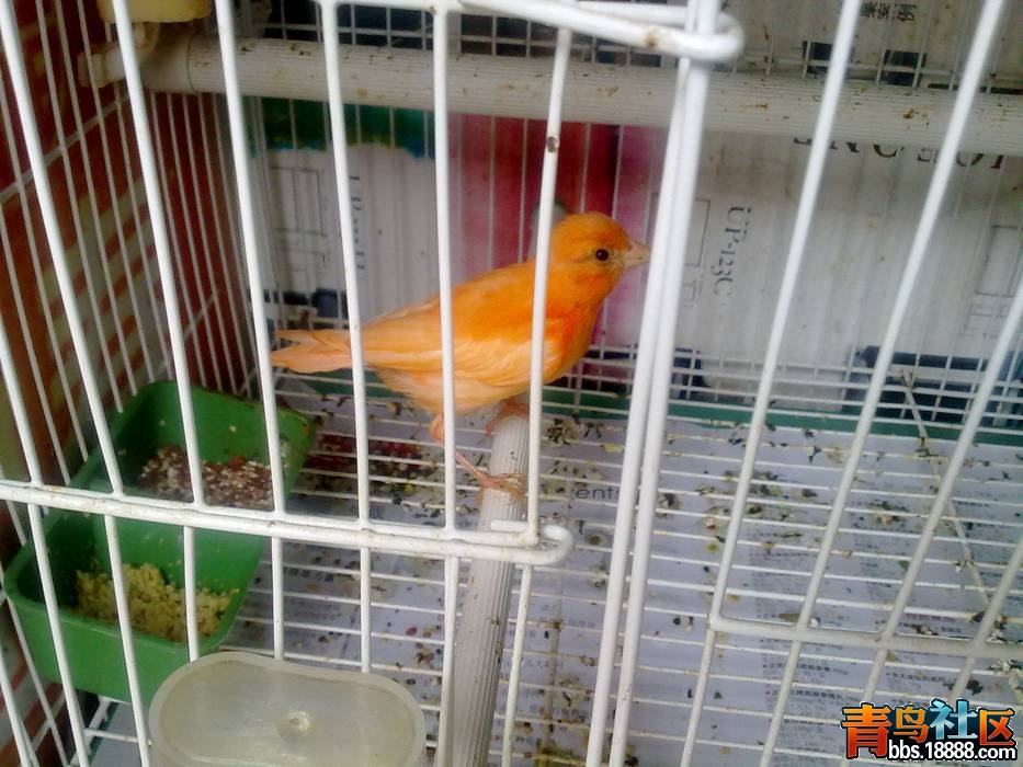 20120513334.jpg