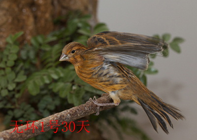 IMG_8601.jpg