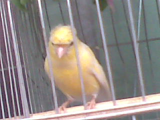 20120505(002).jpg