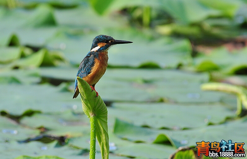 2012.5.27 026.jpg