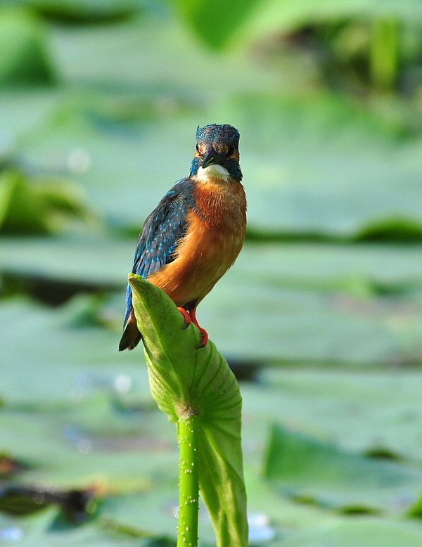2012.5.27 027.jpg