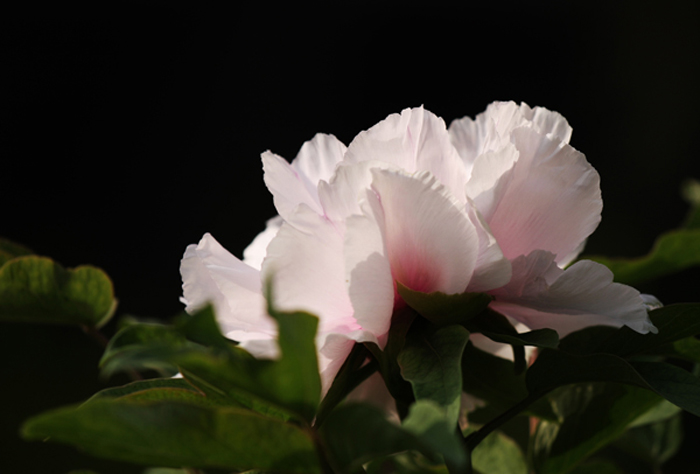 照片 034.jpg