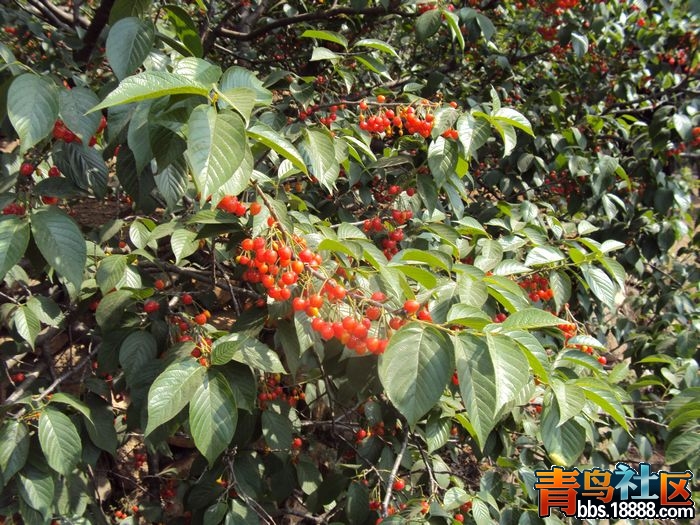 照片 我的照片3 183.jpg