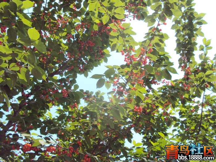 照片 我的照片3 187.jpg