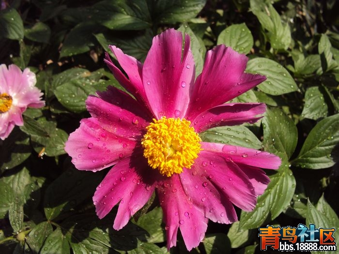 照片 我的照片3 077.jpg