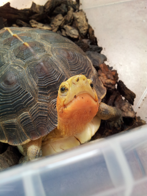 20120506_093745.jpg