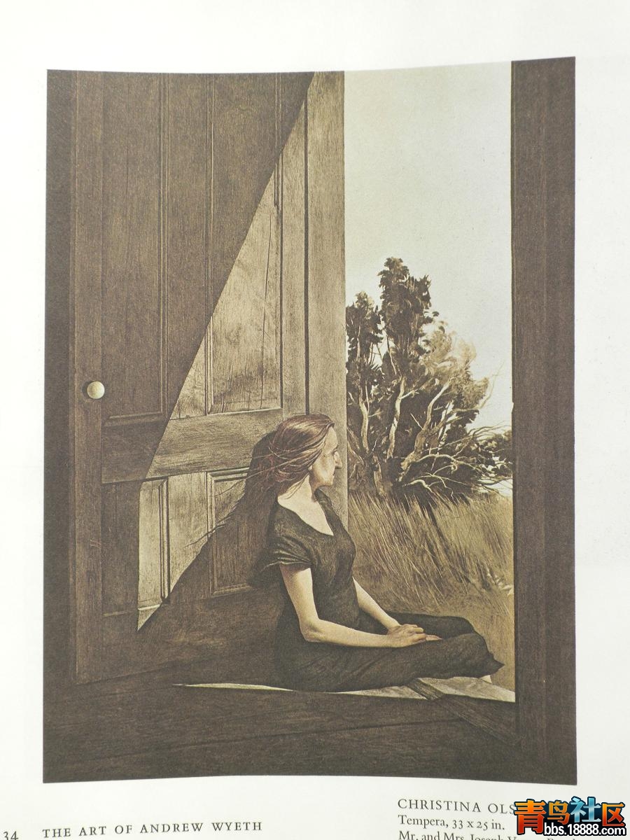 wyeth13a.JPG