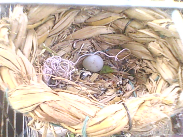 IMG0762A.jpg