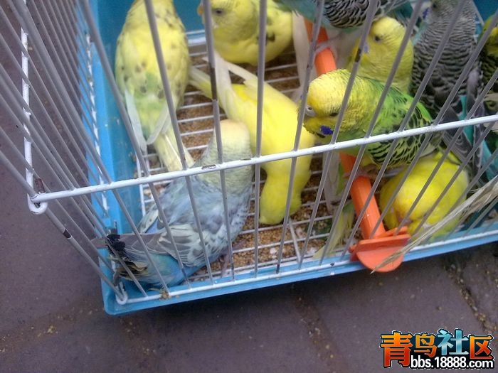 201205261898.jpg
