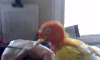 20120512_0859_0.jpg