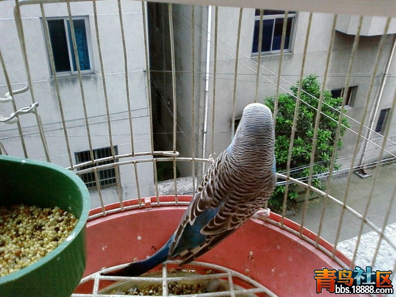 照片-0004.jpg