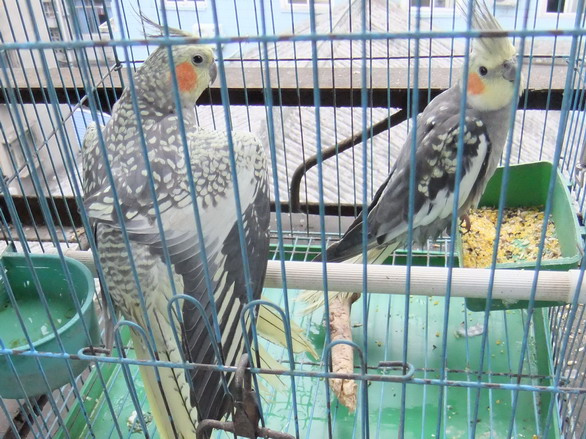 DSCF2082_调整大小.JPG