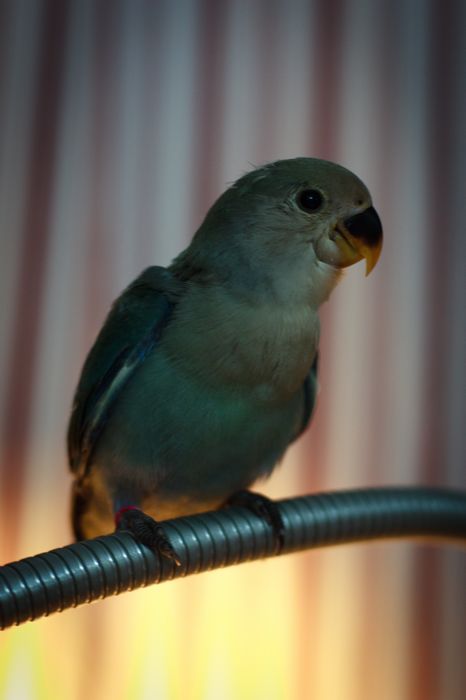 nEO_IMG_IMG_8314.jpg