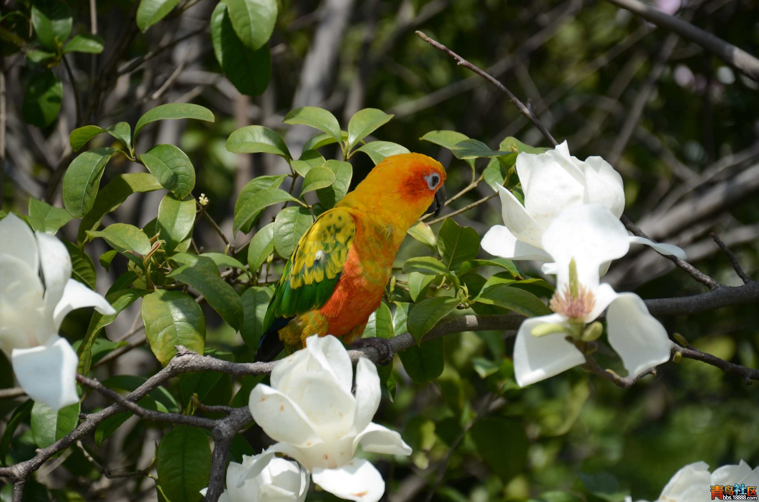 DSC_3450.JPG