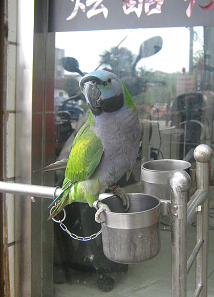 IMG_1712_副本.jpg