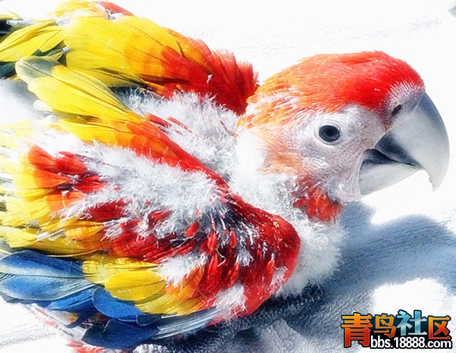 DSC01113_副本_副本_副本.jpg