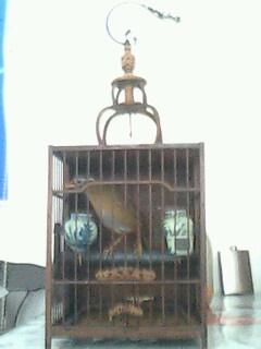 IMG0036A.jpg