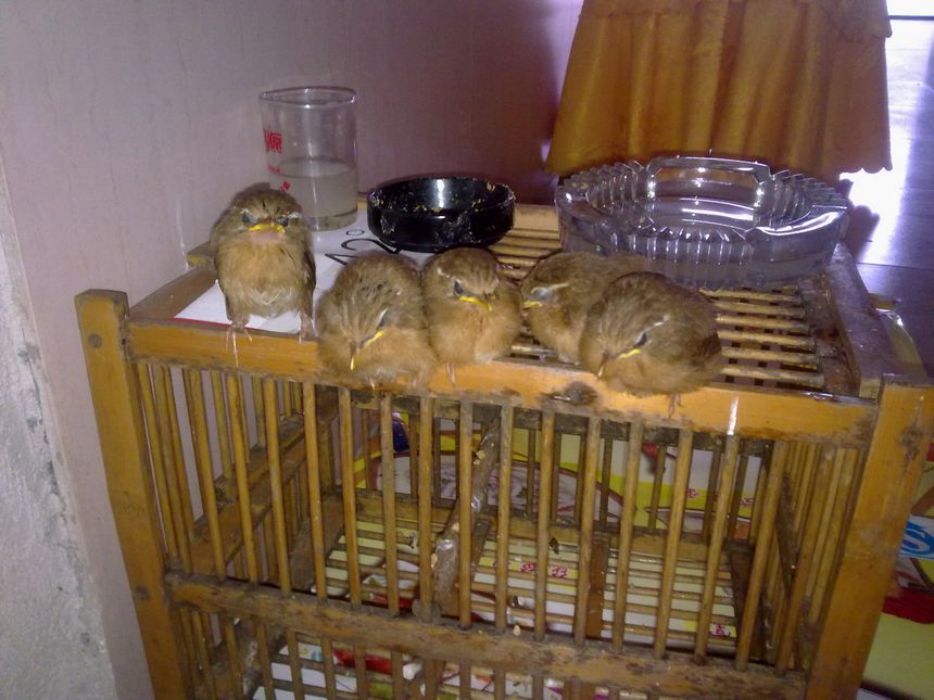 05092012211.jpg