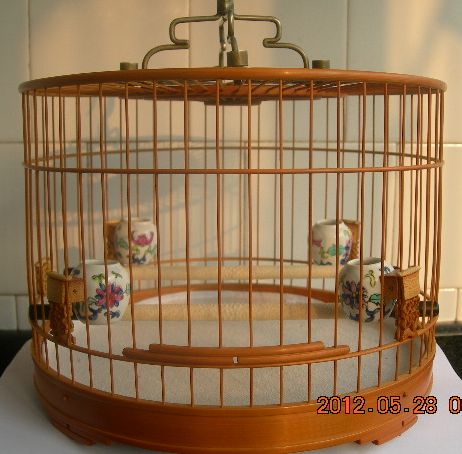 DSCN3869.JPG
