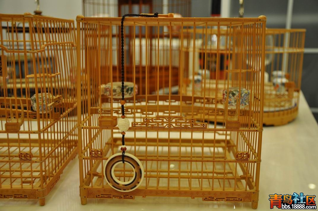 调整大小 调整大小 DSC_1145.JPG