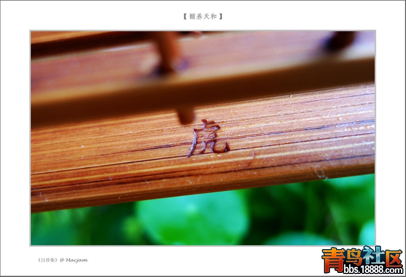 nEO_IMG_L1120357.jpg
