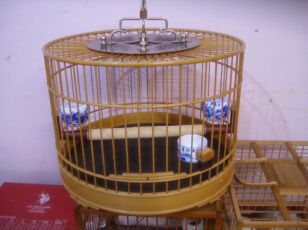 SL730123.JPG