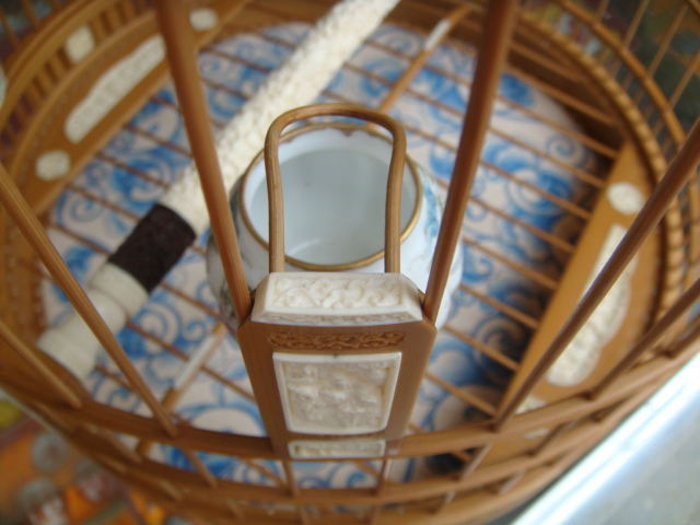DSC07956.JPG