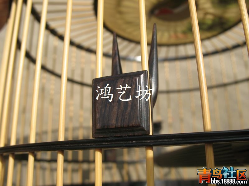 nEO_IMG_IMG_2944.jpg