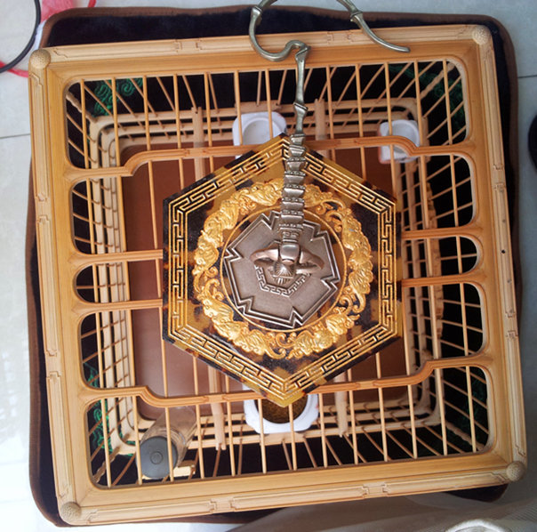 20120426_133743_副本.jpg