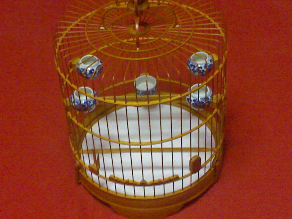20111115345.jpg