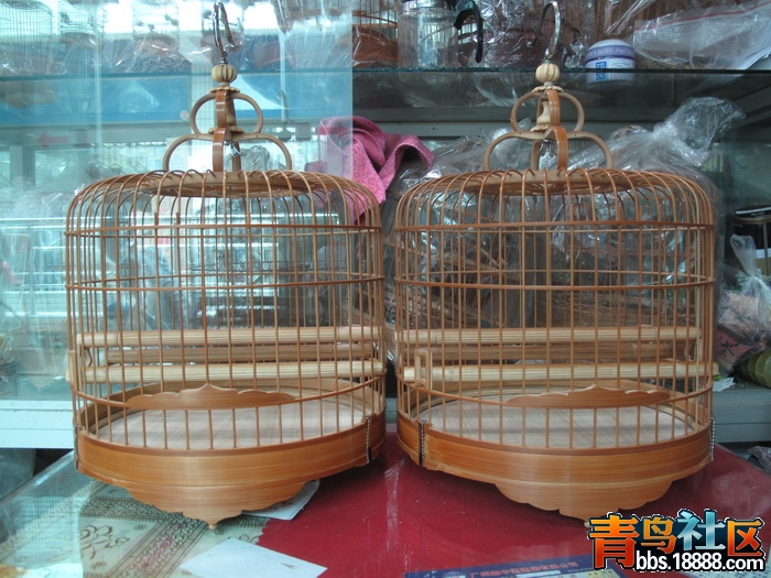 照片 307_调整大小.jpg