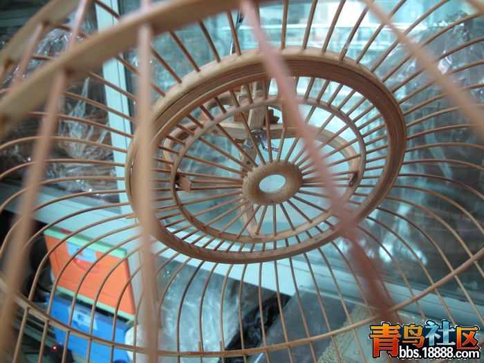 照片 315_调整大小.jpg