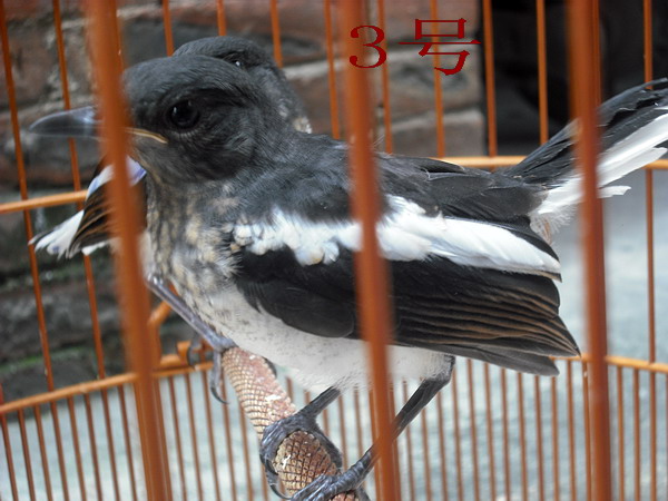 照片 138.jpg