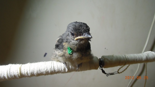 DSCN1819.JPG