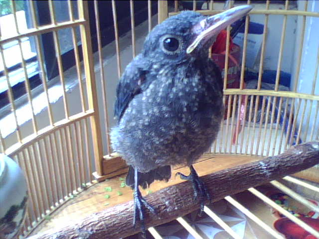 201205301416411.jpg