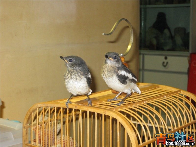 IMG_1981_副本.jpg