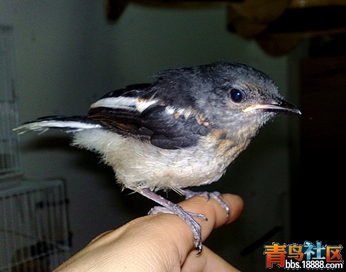 201205151107.jpg