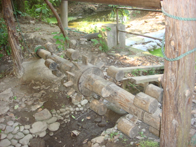 DSC02773.JPG