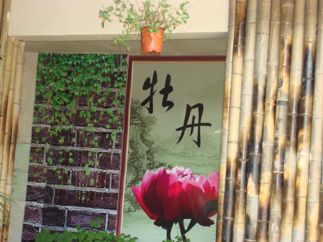 DSC02789.JPG