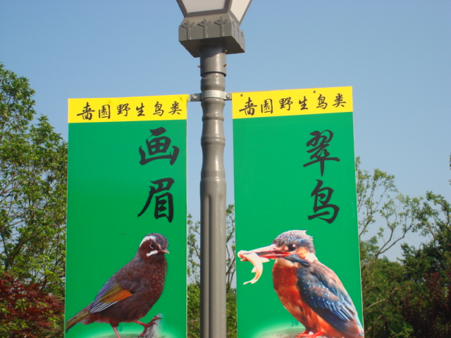 DSC02799.JPG