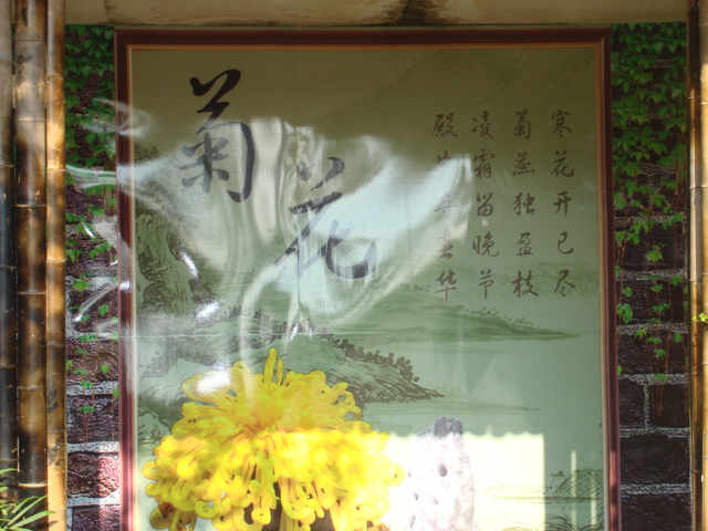 DSC02784.JPG