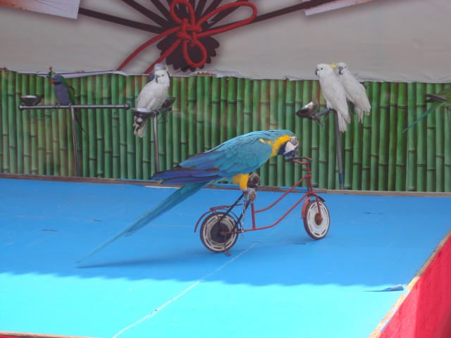 DSC02738.JPG