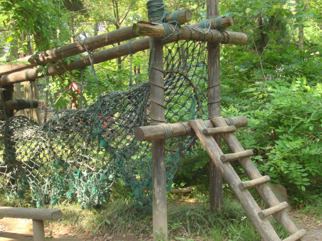 DSC02767.JPG