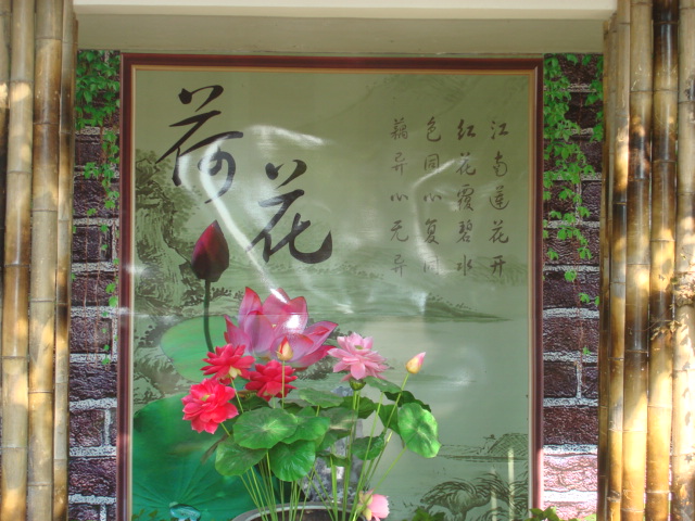 DSC02781.JPG