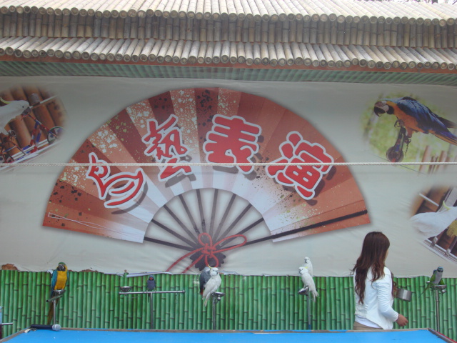 DSC02729.JPG