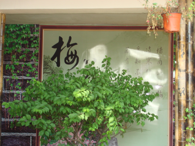DSC02788.JPG